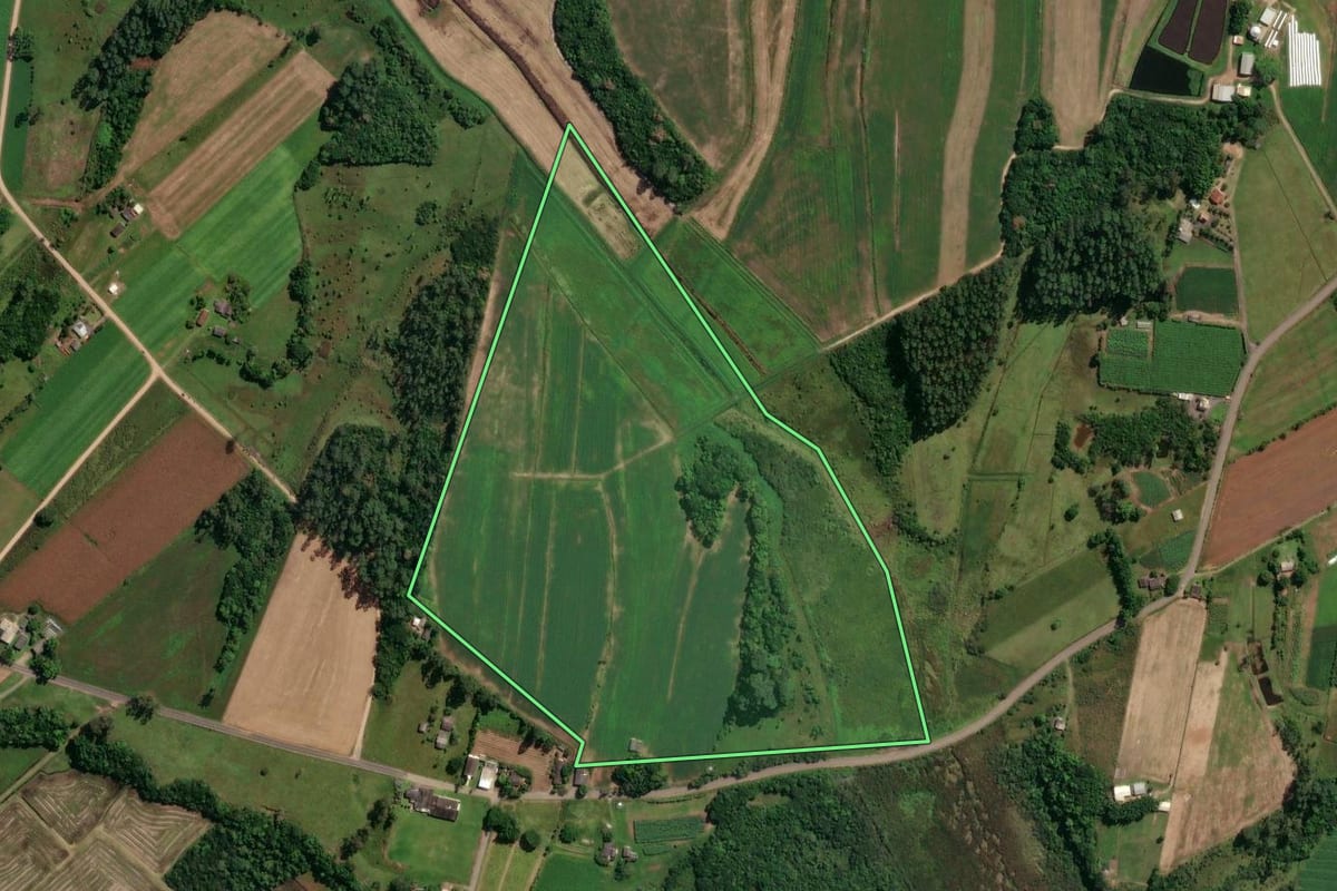 Imagem de satélite do imóvel rural em São João do Sul (SC), com o contorno declarado no CAR desenhado por cima.