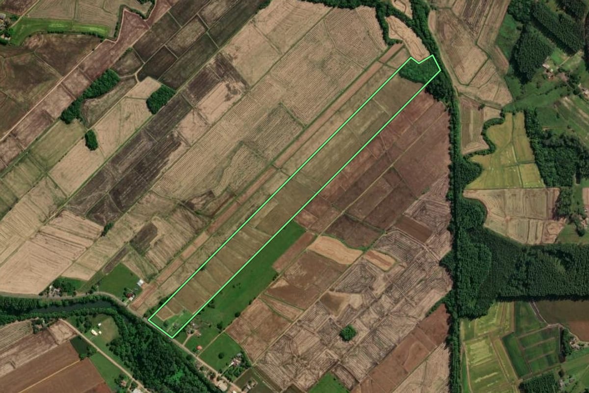 Imagem de satélite do imóvel rural em São João do Sul (SC), com o contorno declarado no CAR desenhado por cima.