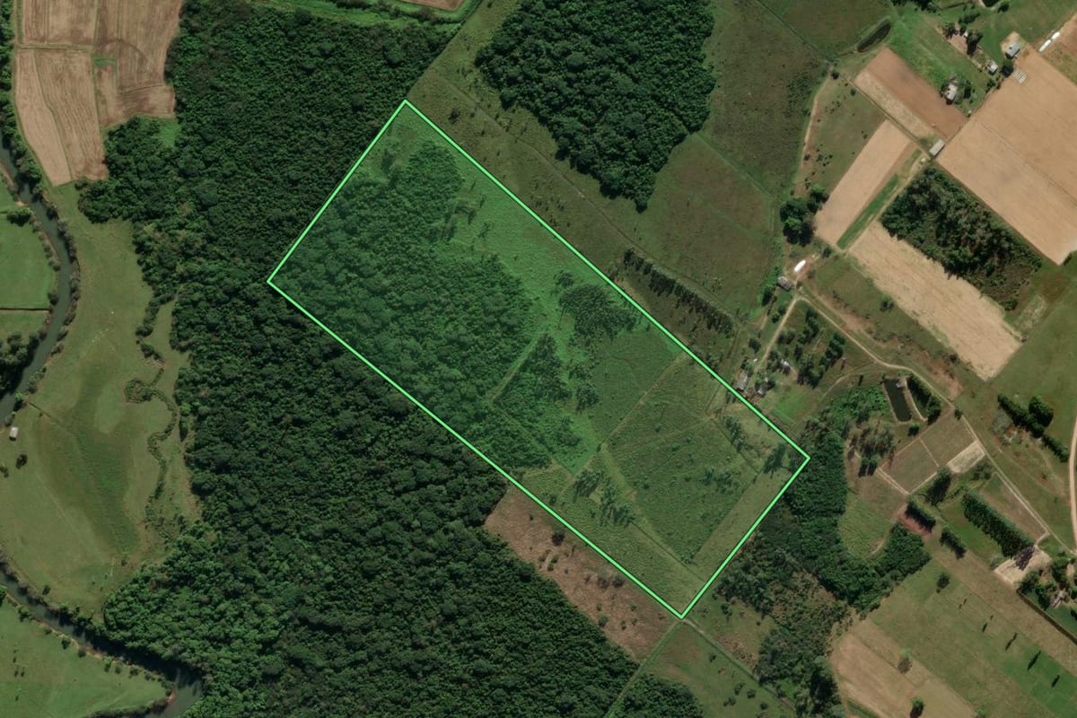 Imagem de satélite do imóvel rural em São João do Sul (SC), com o contorno declarado no CAR desenhado por cima.
