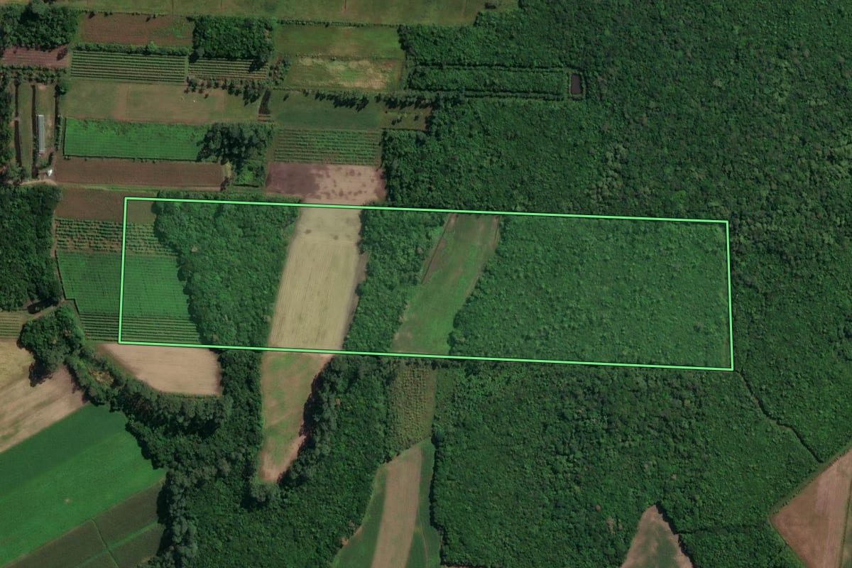 Imagem de satélite do imóvel rural em São João do Sul (SC), com o contorno declarado no CAR desenhado por cima.