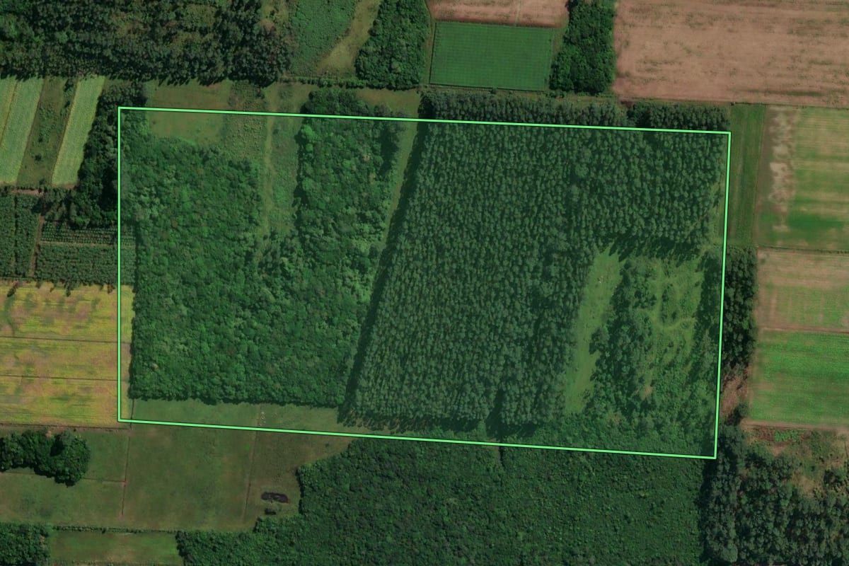 Imagem de satélite do imóvel rural em São João do Sul (SC), com o contorno declarado no CAR desenhado por cima.
