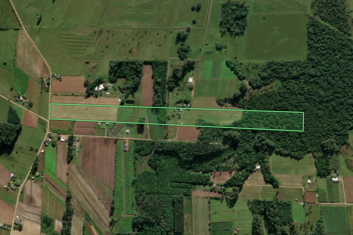 Imagem de satélite do imóvel rural em São João do Sul (SC), com o contorno declarado no CAR desenhado por cima.