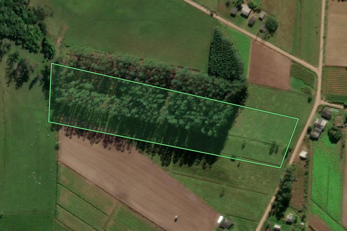 Imagem de satélite do imóvel rural em São João do Sul (SC), com o contorno declarado no CAR desenhado por cima.