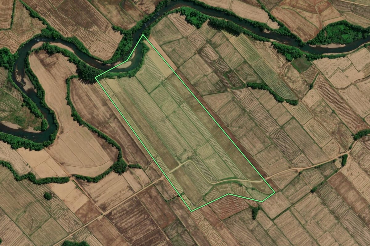 Imagem de satélite do imóvel rural em São João do Sul (SC), com o contorno declarado no CAR desenhado por cima.