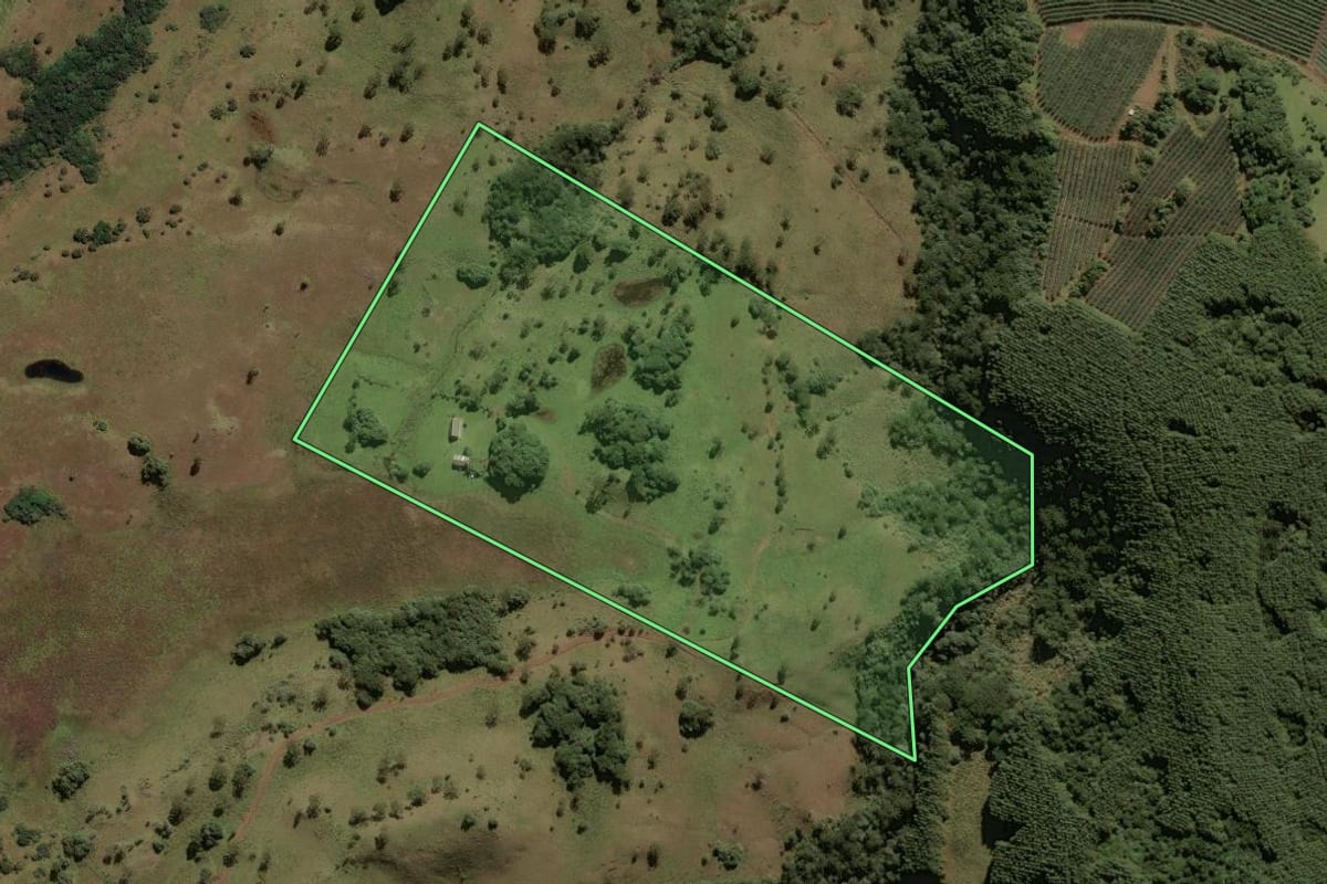 Imagem de satélite do imóvel rural em São Joaquim (SC), com o contorno declarado no CAR desenhado por cima.