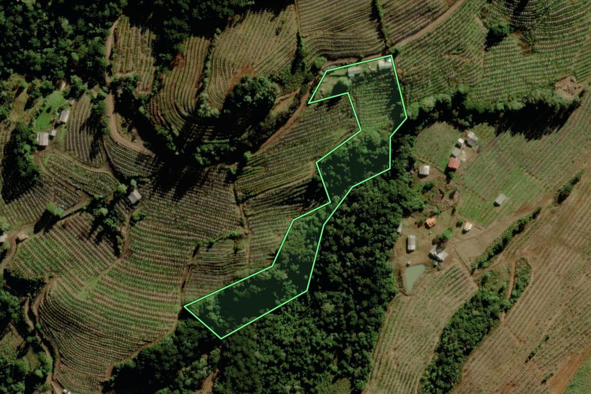 Imagem de satélite do imóvel rural em São Joaquim (SC), com o contorno declarado no CAR desenhado por cima.
