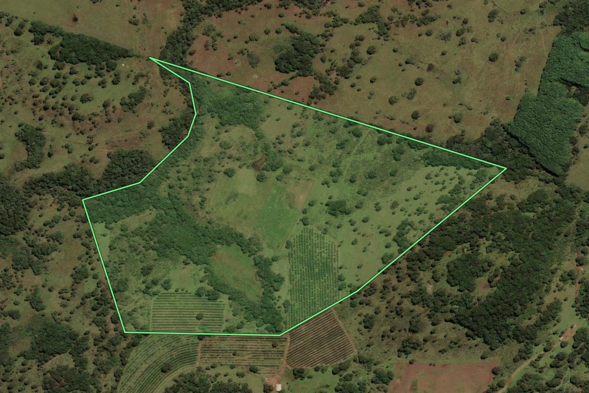 Imagem de satélite do imóvel rural em São Joaquim (SC), com o contorno declarado no CAR desenhado por cima.