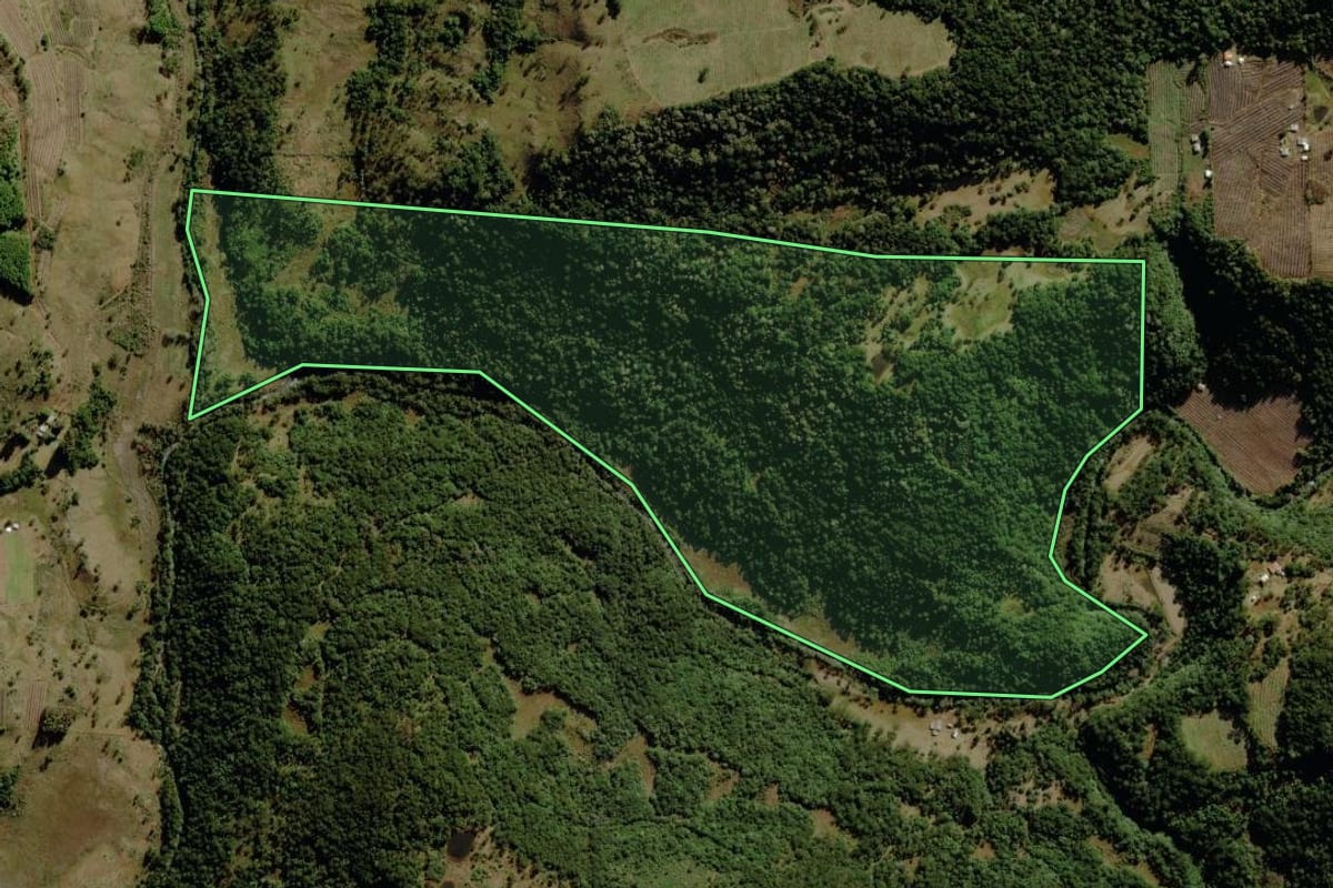 Imagem de satélite do imóvel rural em São Joaquim (SC), com o contorno declarado no CAR desenhado por cima.