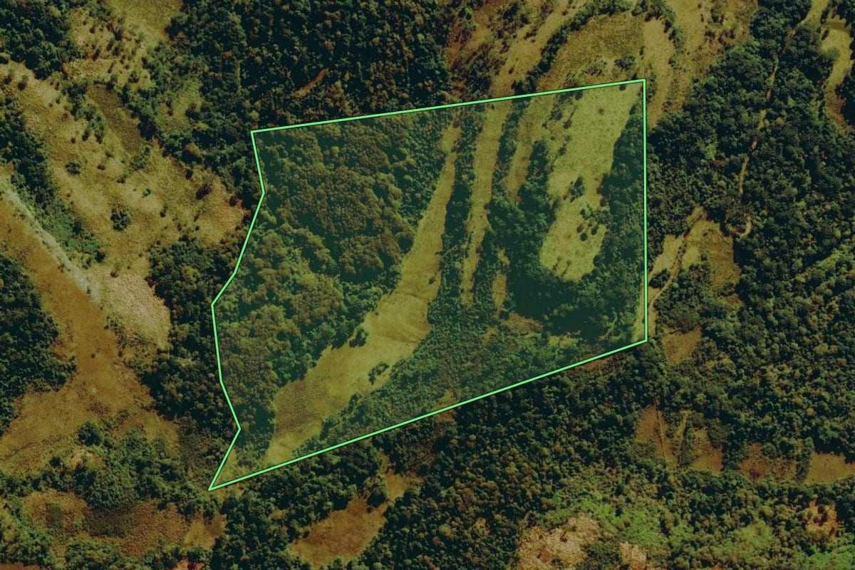 Imagem de satélite do imóvel rural em São Joaquim (SC), com o contorno declarado no CAR desenhado por cima.