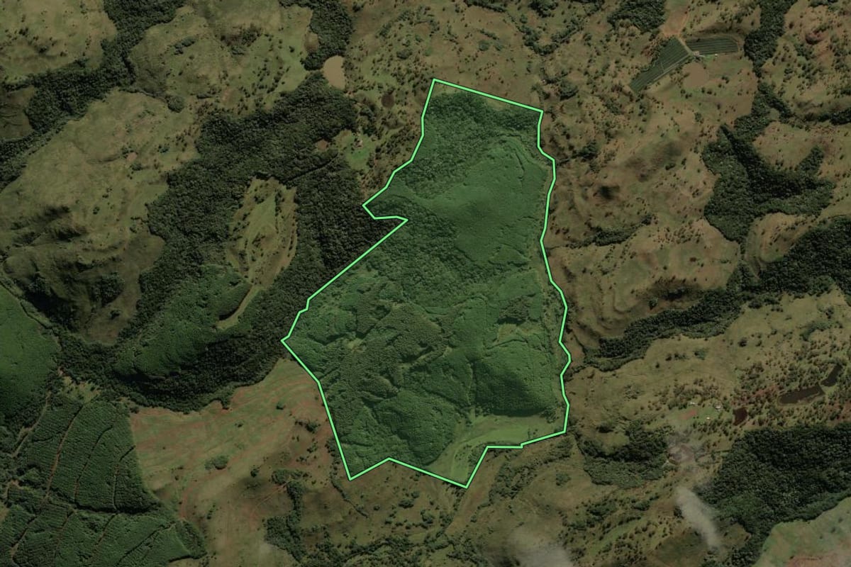 Imagem de satélite do imóvel rural em São Joaquim (SC), com o contorno declarado no CAR desenhado por cima.