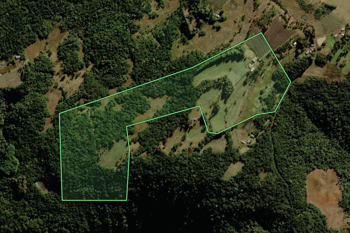 Imagem de satélite do imóvel rural em São Joaquim (SC), com o contorno declarado no CAR desenhado por cima.