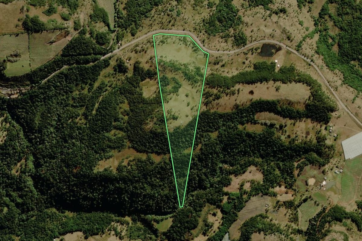 Imagem de satélite do imóvel rural em São Joaquim (SC), com o contorno declarado no CAR desenhado por cima.