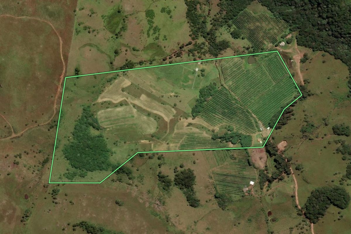 Imagem de satélite do imóvel rural em São Joaquim (SC), com o contorno declarado no CAR desenhado por cima.