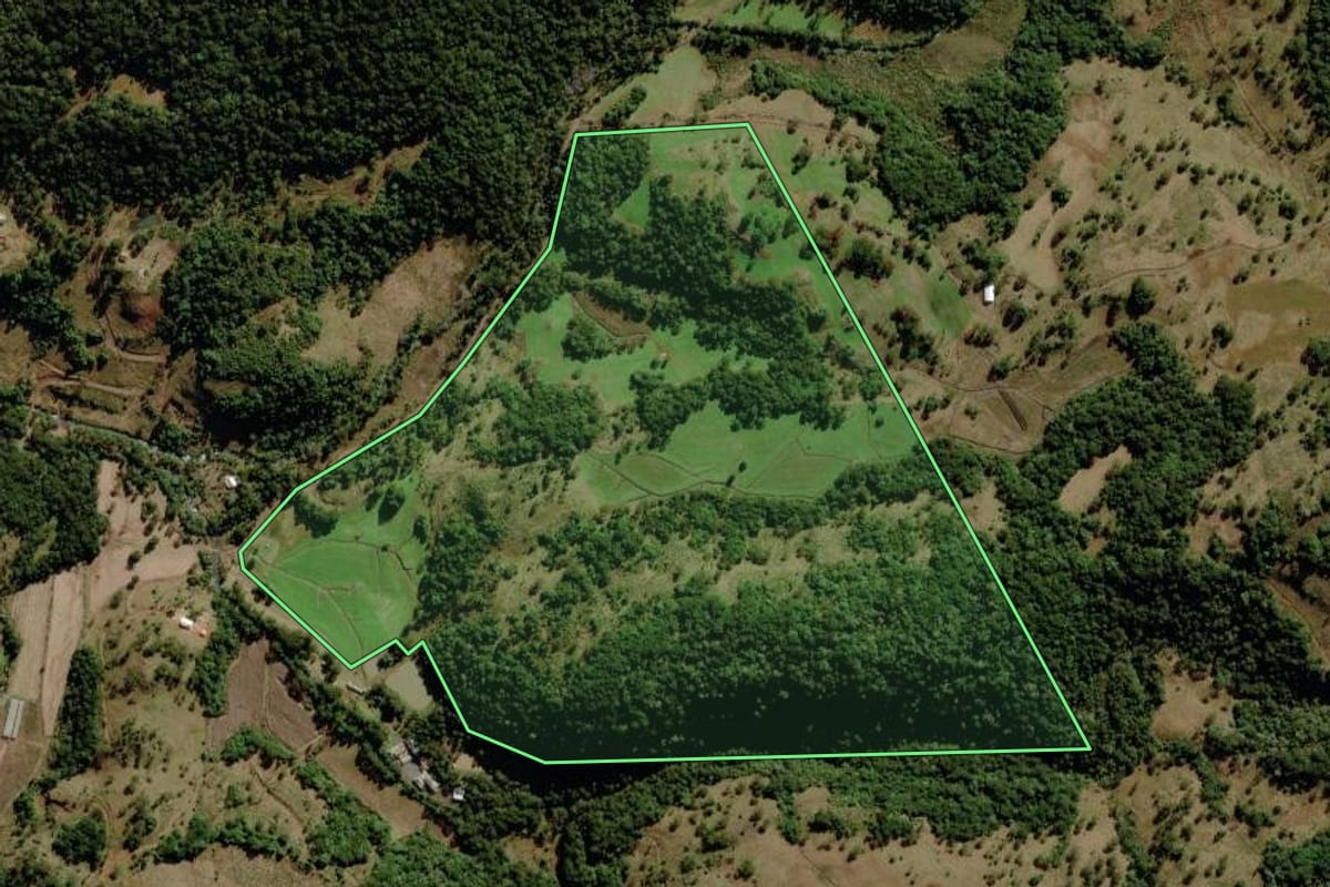Imagem de satélite do imóvel rural em São Joaquim (SC), com o contorno declarado no CAR desenhado por cima.