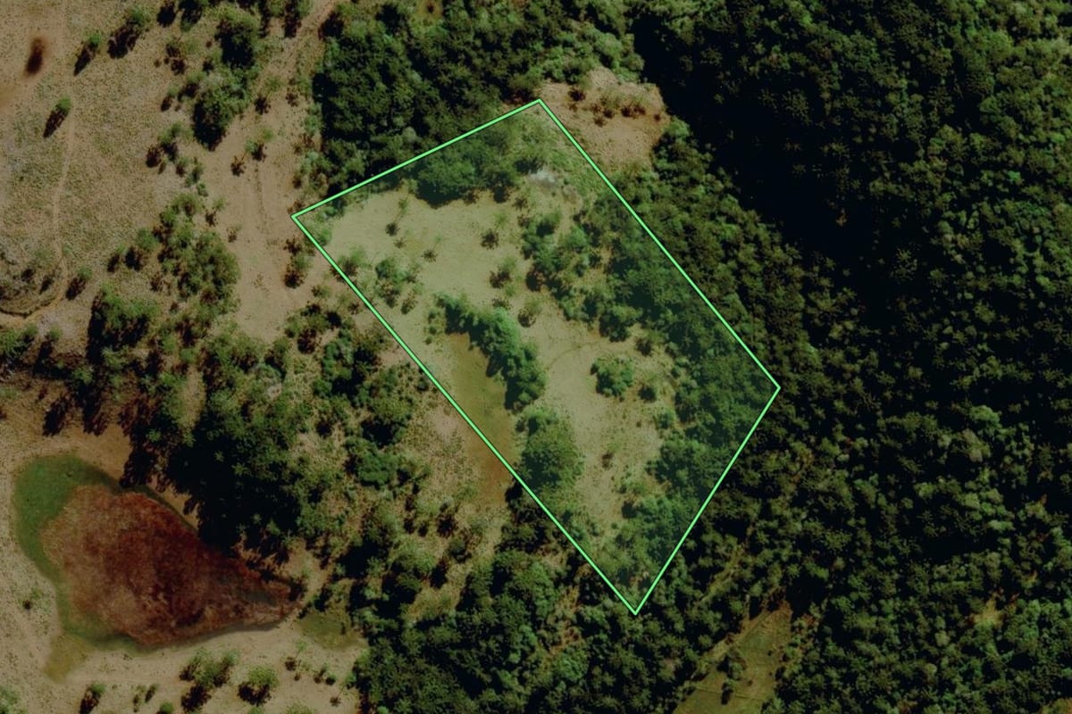 Imagem de satélite do imóvel rural em São Joaquim (SC), com o contorno declarado no CAR desenhado por cima.