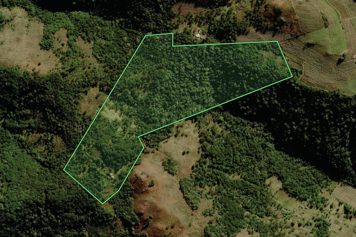 Imagem de satélite do imóvel rural em São Joaquim (SC), com o contorno declarado no CAR desenhado por cima.