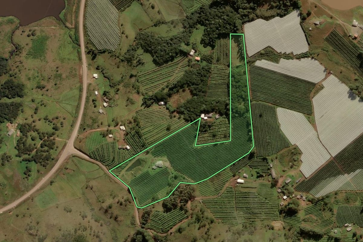Imagem de satélite do imóvel rural em São Joaquim (SC), com o contorno declarado no CAR desenhado por cima.