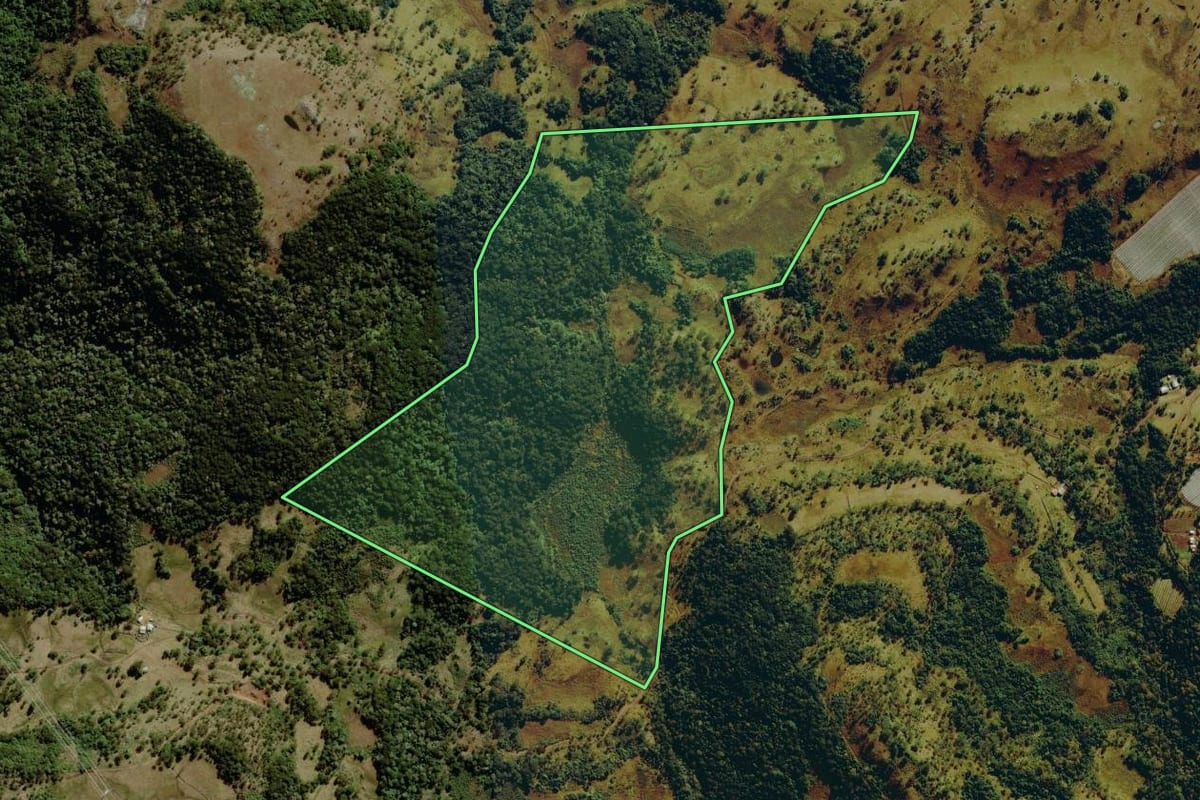 Imagem de satélite do imóvel rural em São Joaquim (SC), com o contorno declarado no CAR desenhado por cima.