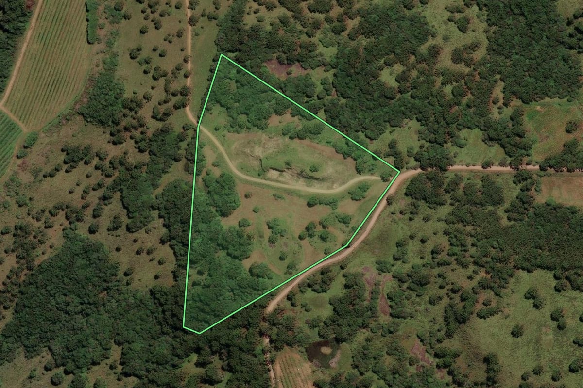 Imagem de satélite do imóvel rural em São Joaquim (SC), com o contorno declarado no CAR desenhado por cima.
