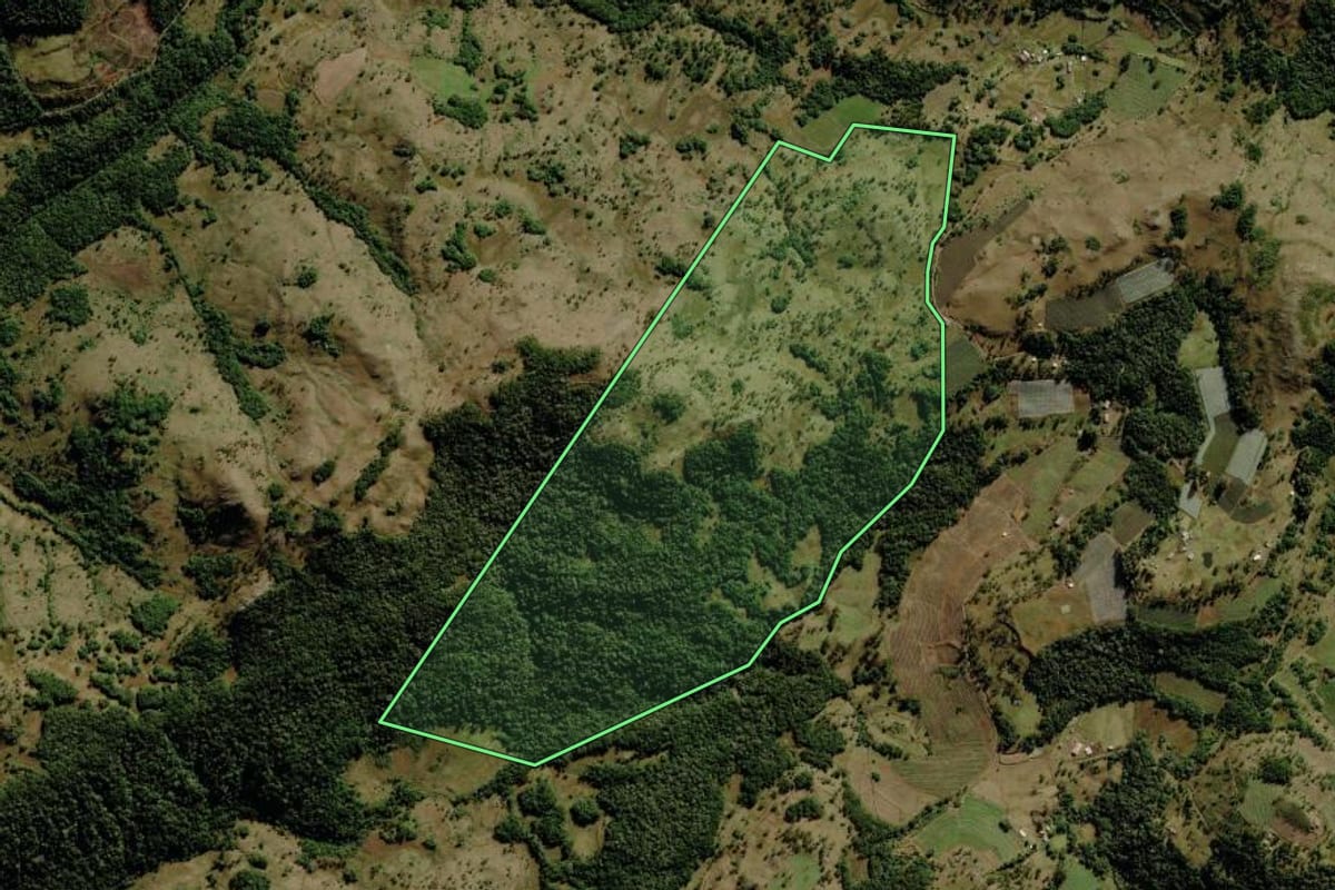 Imagem de satélite do imóvel rural em São Joaquim (SC), com o contorno declarado no CAR desenhado por cima.