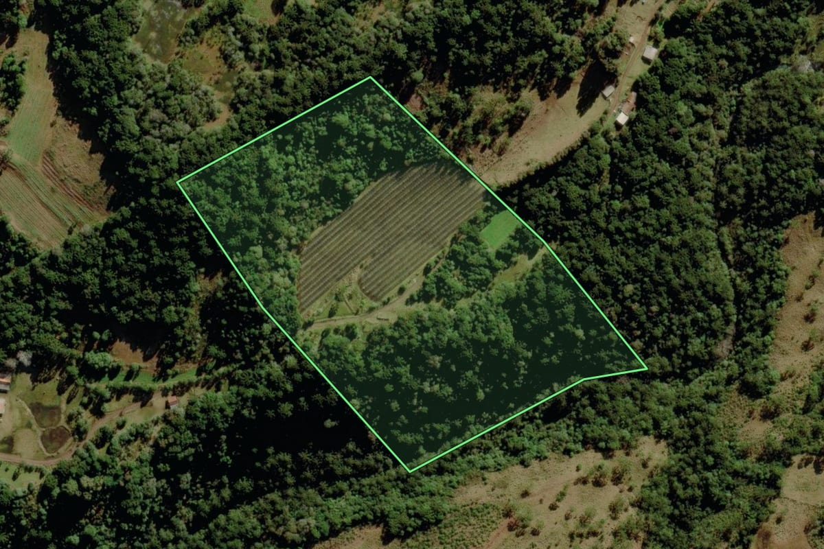 Imagem de satélite do imóvel rural em São Joaquim (SC), com o contorno declarado no CAR desenhado por cima.