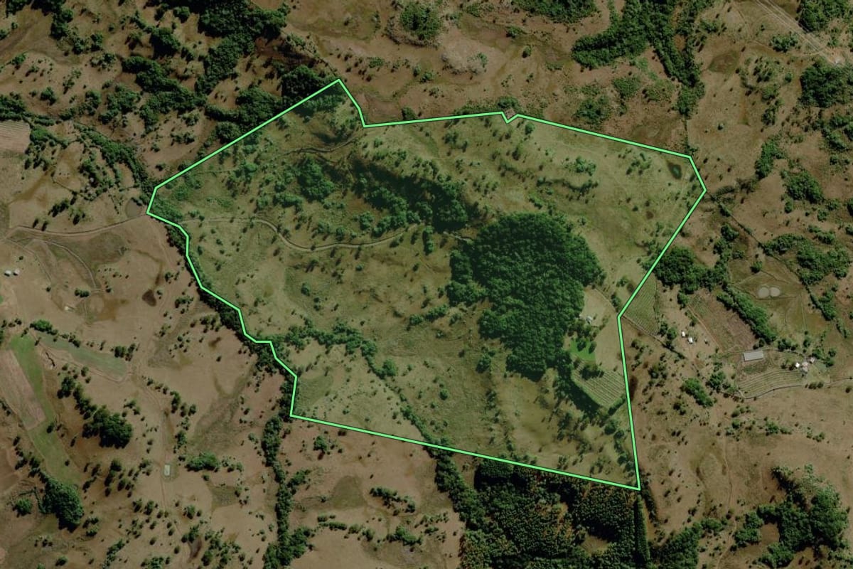 Imagem de satélite do imóvel rural em São Joaquim (SC), com o contorno declarado no CAR desenhado por cima.