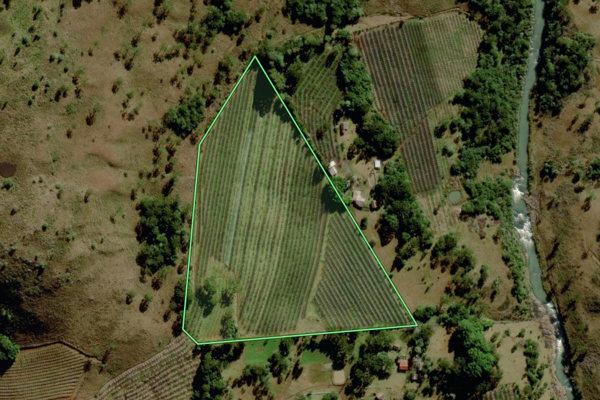 Imagem de satélite do imóvel rural em São Joaquim (SC), com o contorno declarado no CAR desenhado por cima.