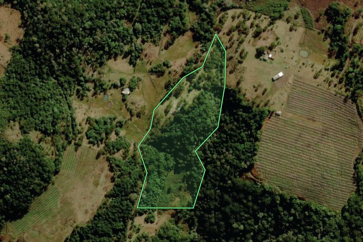 Imagem de satélite do imóvel rural em São Joaquim (SC), com o contorno declarado no CAR desenhado por cima.
