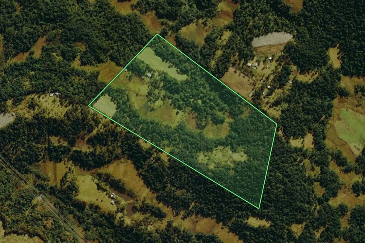 Imagem de satélite do imóvel rural em São Joaquim (SC), com o contorno declarado no CAR desenhado por cima.