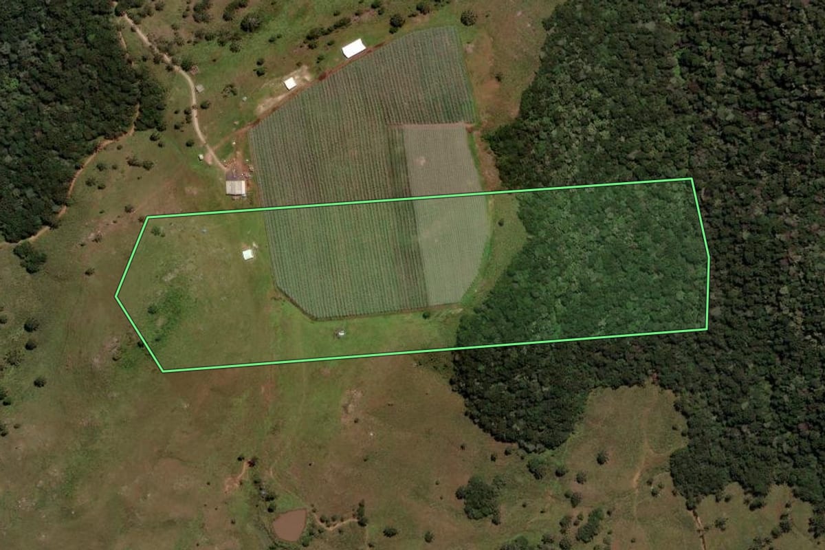 Imagem de satélite do imóvel rural em São Joaquim (SC), com o contorno declarado no CAR desenhado por cima.