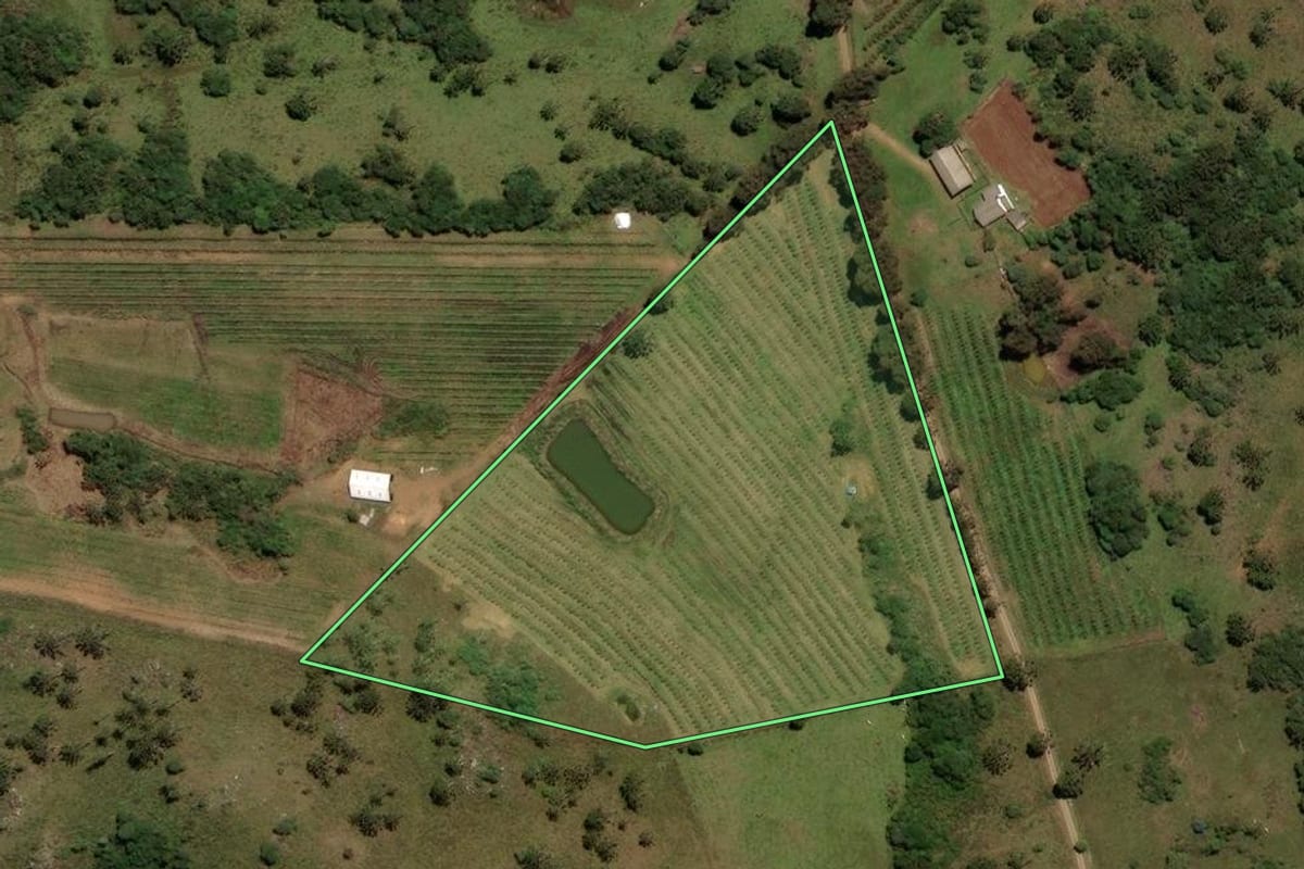 Imagem de satélite do imóvel rural em São Joaquim (SC), com o contorno declarado no CAR desenhado por cima.