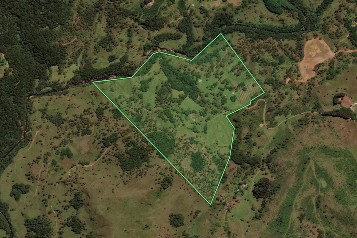 Imagem de satélite do imóvel rural em São Joaquim (SC), com o contorno declarado no CAR desenhado por cima.