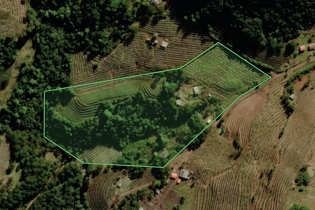 Imagem de satélite do imóvel rural em São Joaquim (SC), com o contorno declarado no CAR desenhado por cima.