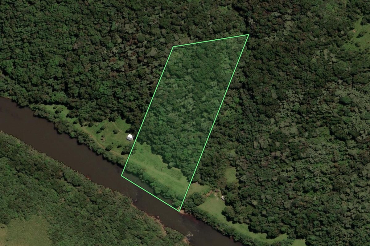 Imagem de satélite do imóvel rural em São Joaquim (SC), com o contorno declarado no CAR desenhado por cima.