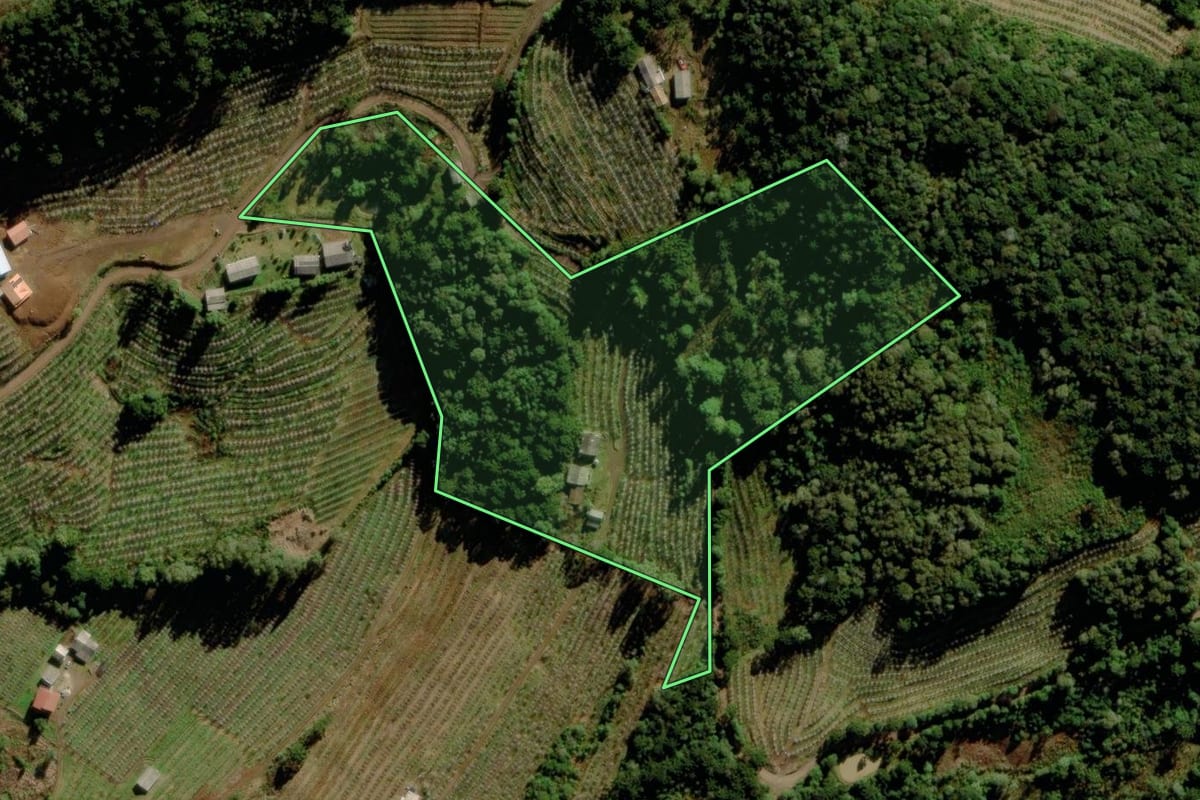 Imagem de satélite do imóvel rural em São Joaquim (SC), com o contorno declarado no CAR desenhado por cima.