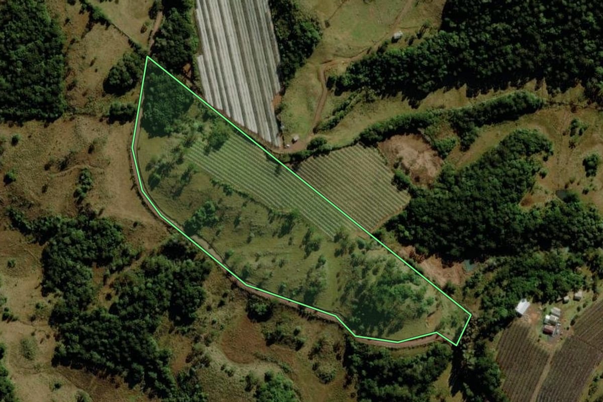 Imagem de satélite do imóvel rural em São Joaquim (SC), com o contorno declarado no CAR desenhado por cima.