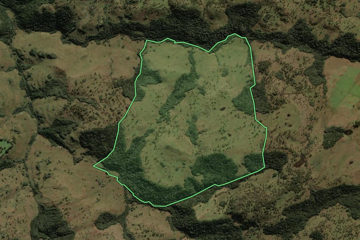 Imagem de satélite do imóvel rural em São Joaquim (SC), com o contorno declarado no CAR desenhado por cima.