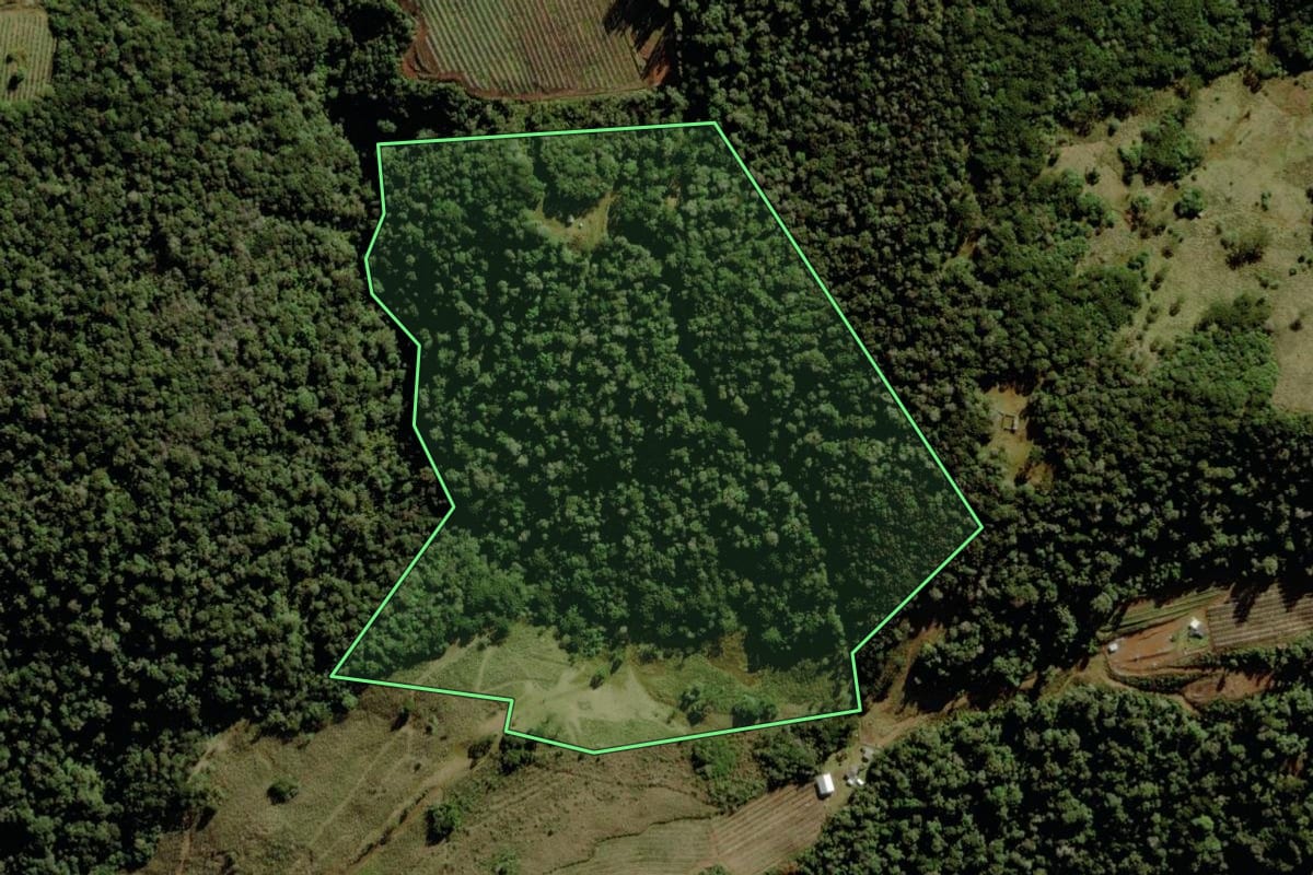 Imagem de satélite do imóvel rural em São Joaquim (SC), com o contorno declarado no CAR desenhado por cima.