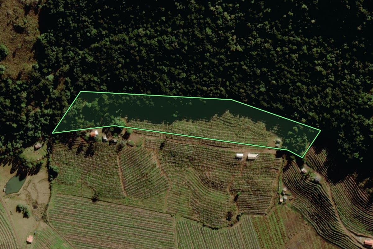 Imagem de satélite do imóvel rural em São Joaquim (SC), com o contorno declarado no CAR desenhado por cima.