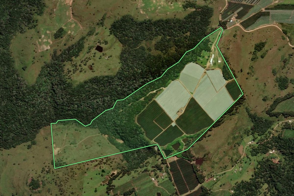 Imagem de satélite do imóvel rural em São Joaquim (SC), com o contorno declarado no CAR desenhado por cima.