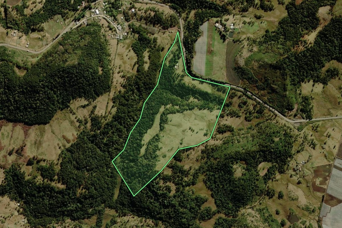 Imagem de satélite do imóvel rural em São Joaquim (SC), com o contorno declarado no CAR desenhado por cima.