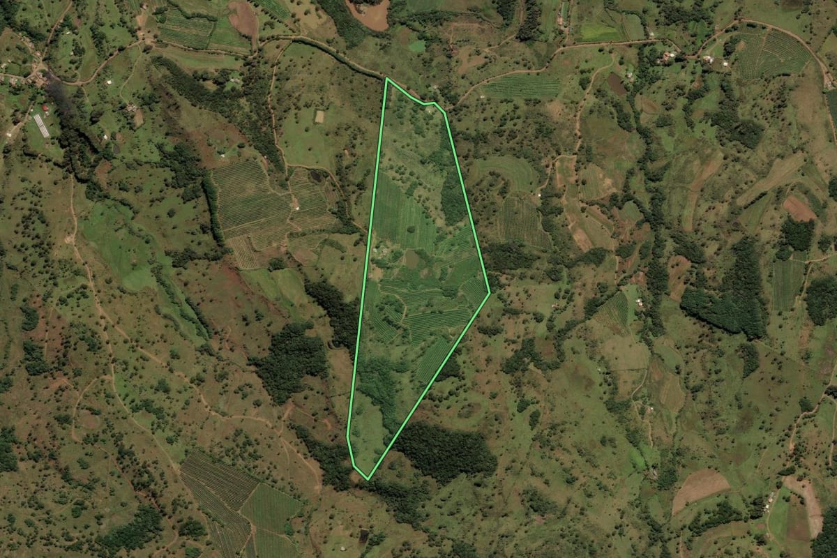 Imagem de satélite do imóvel rural em São Joaquim (SC), com o contorno declarado no CAR desenhado por cima.