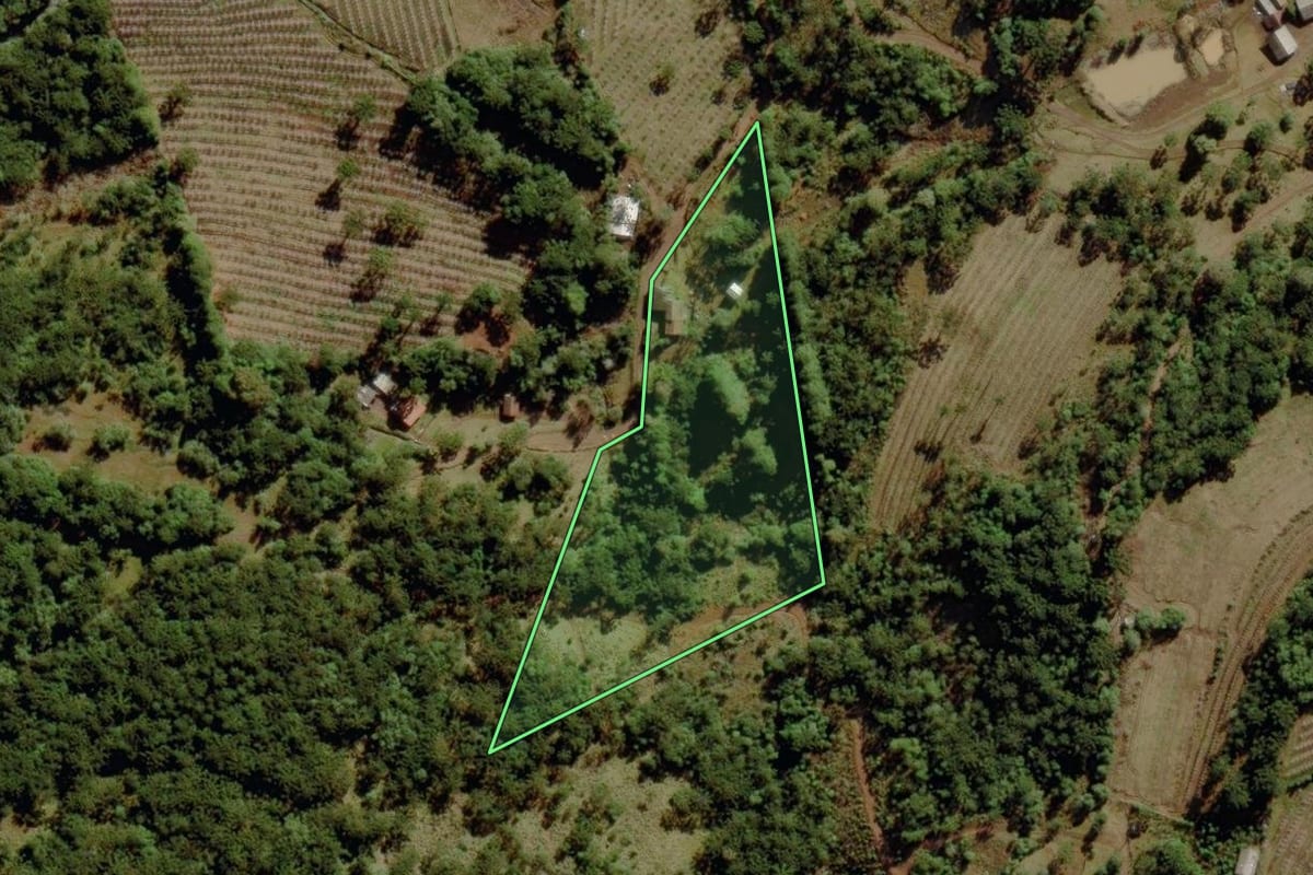 Imagem de satélite do imóvel rural em São Joaquim (SC), com o contorno declarado no CAR desenhado por cima.