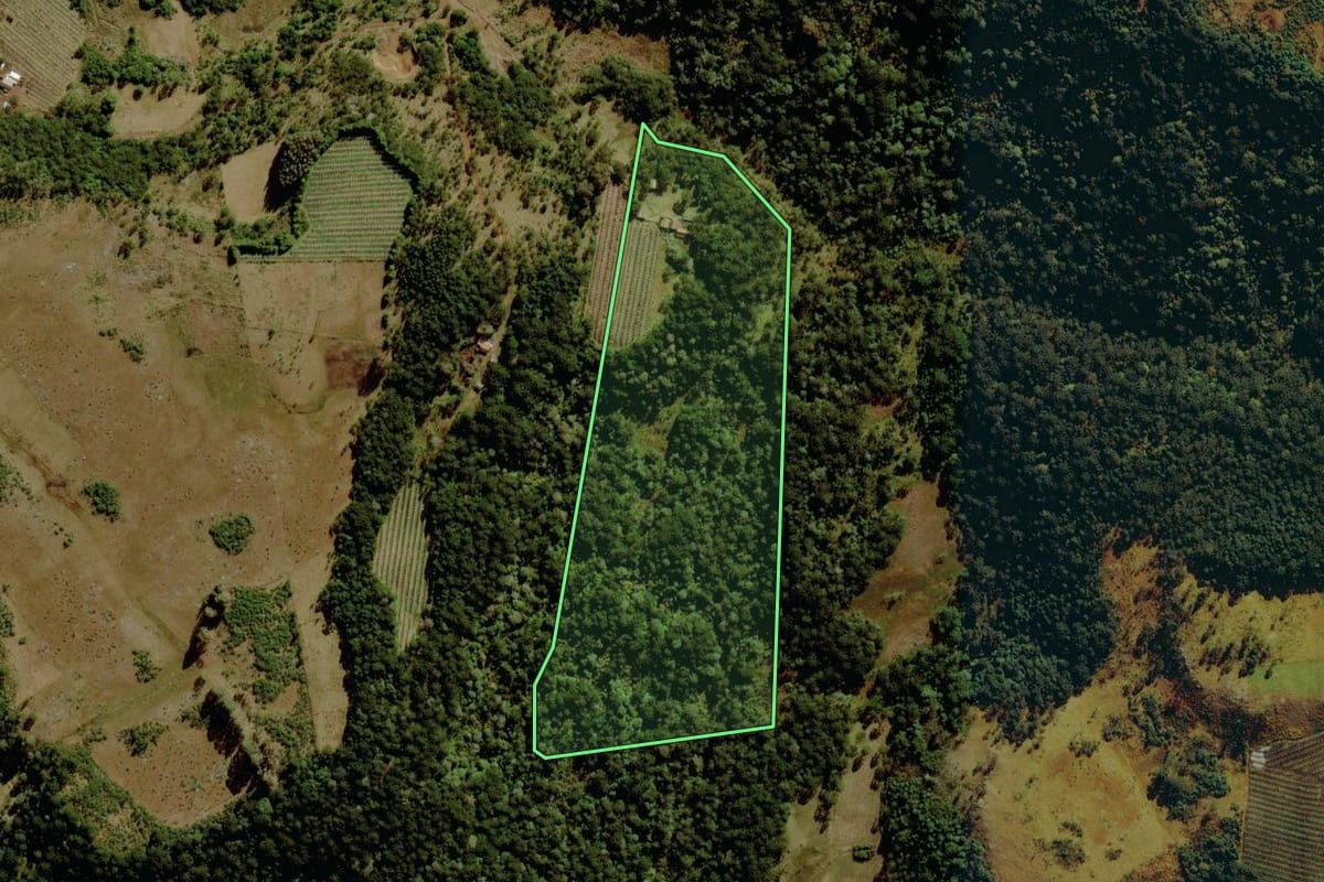 Imagem de satélite do imóvel rural em São Joaquim (SC), com o contorno declarado no CAR desenhado por cima.