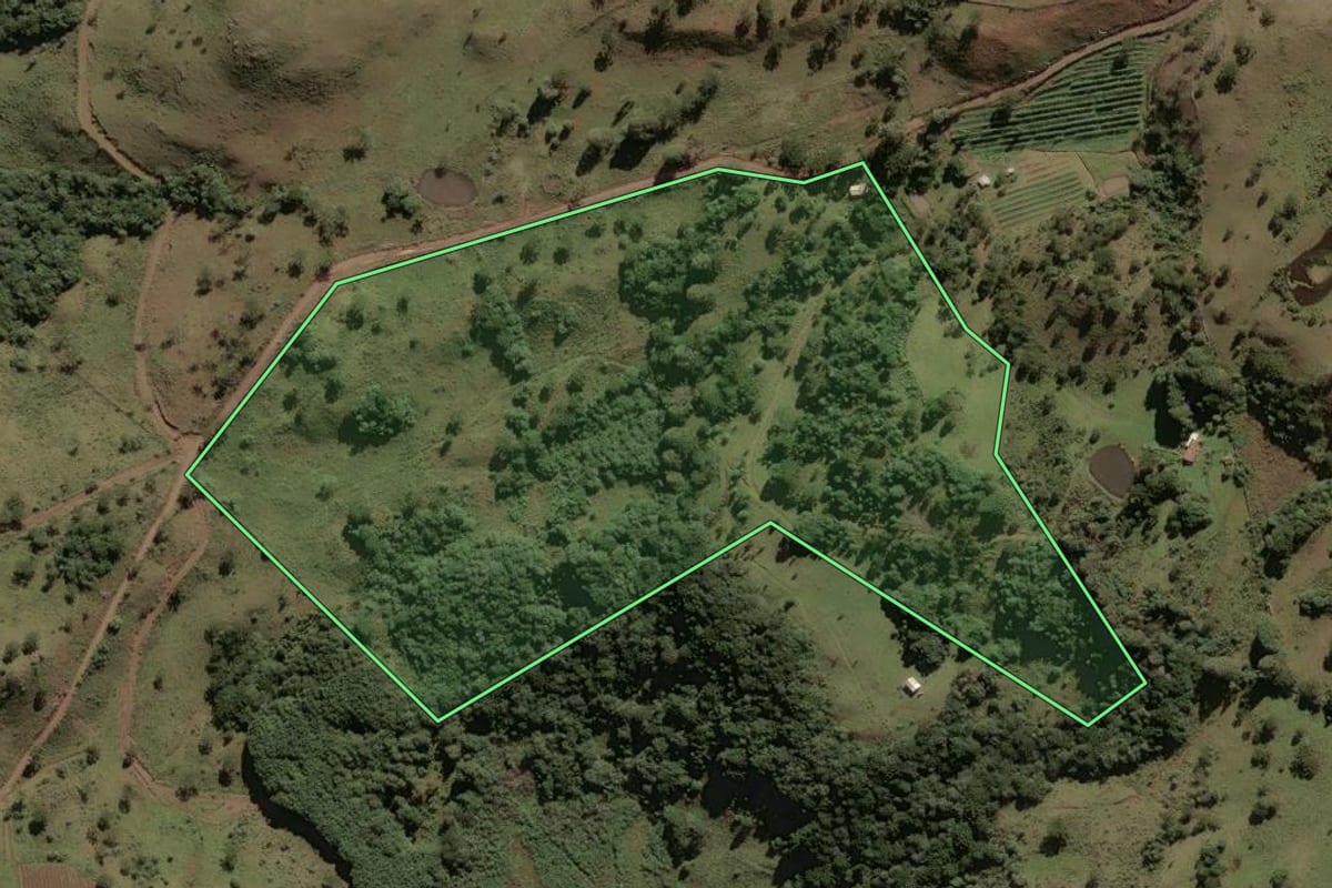 Imagem de satélite do imóvel rural em São Joaquim (SC), com o contorno declarado no CAR desenhado por cima.