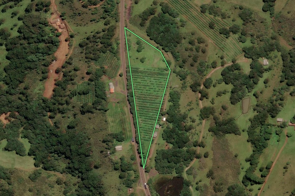 Imagem de satélite do imóvel rural em São Joaquim (SC), com o contorno declarado no CAR desenhado por cima.