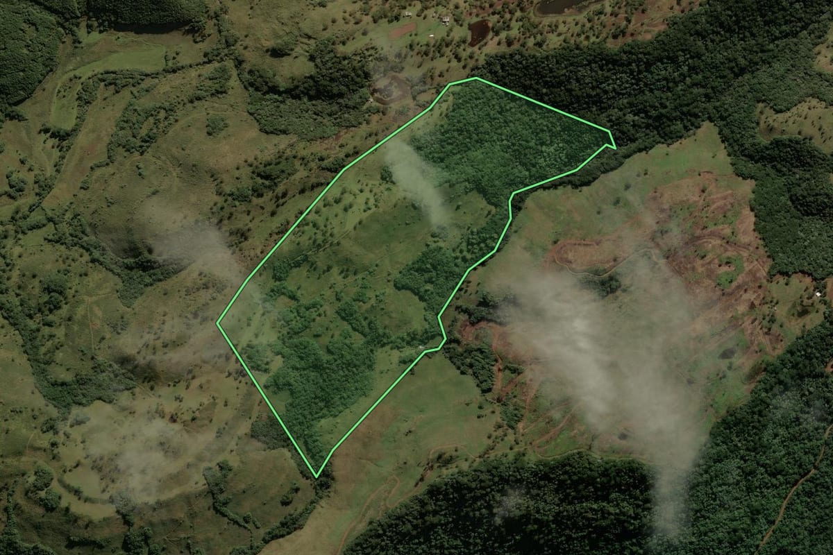 Imagem de satélite do imóvel rural em São Joaquim (SC), com o contorno declarado no CAR desenhado por cima.