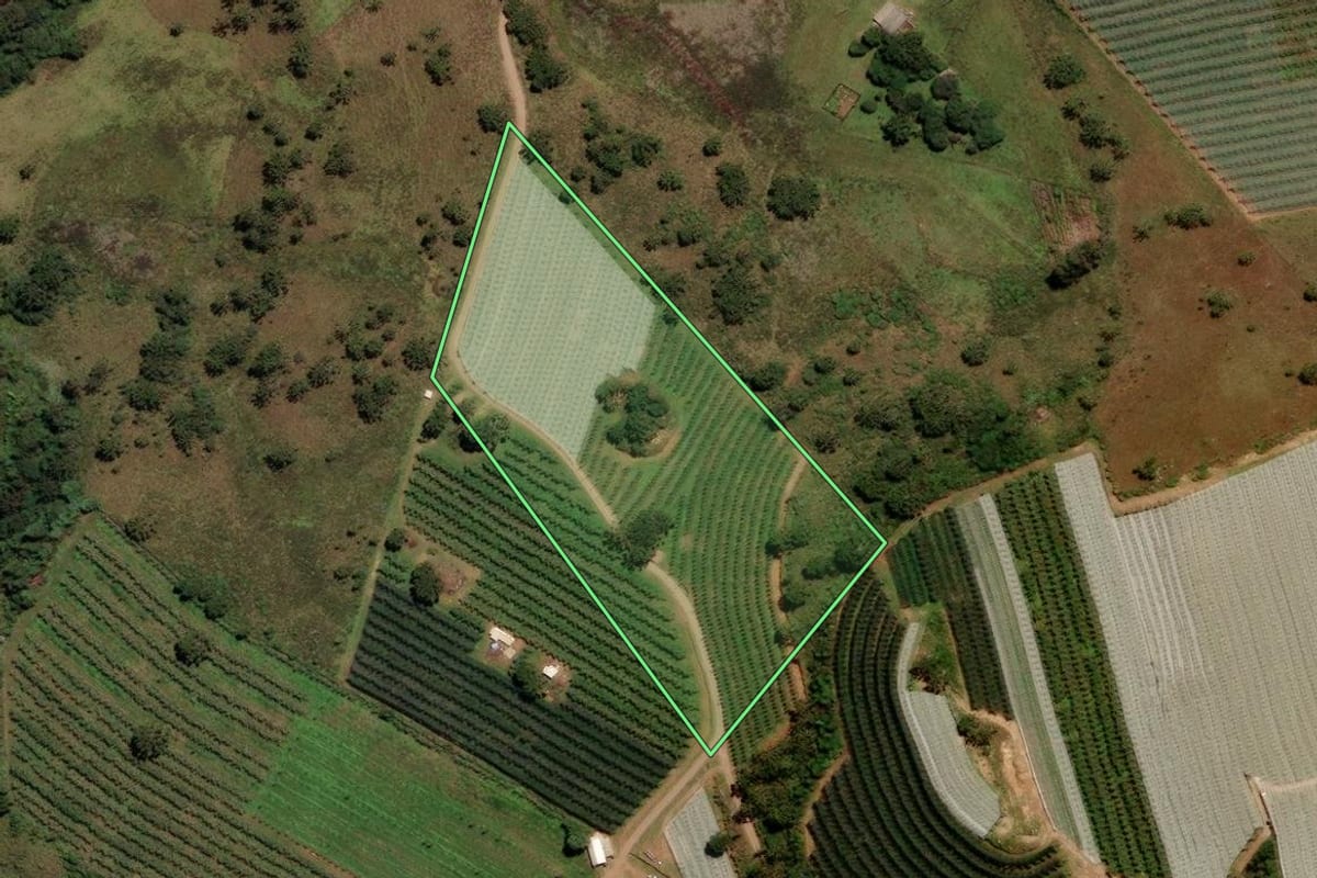 Imagem de satélite do imóvel rural em São Joaquim (SC), com o contorno declarado no CAR desenhado por cima.