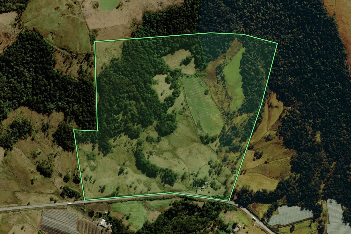 Imagem de satélite do imóvel rural em São Joaquim (SC), com o contorno declarado no CAR desenhado por cima.
