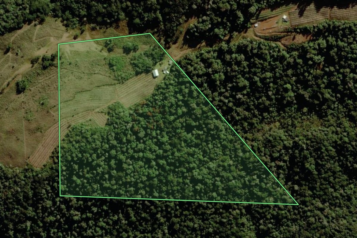 Imagem de satélite do imóvel rural em São Joaquim (SC), com o contorno declarado no CAR desenhado por cima.